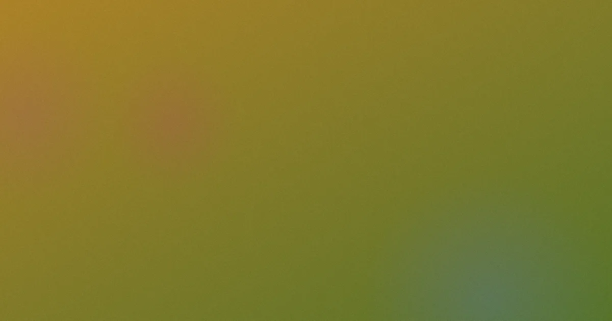 费启鸣个人资料攻略